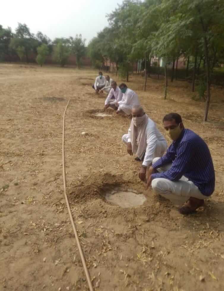 tree plantation