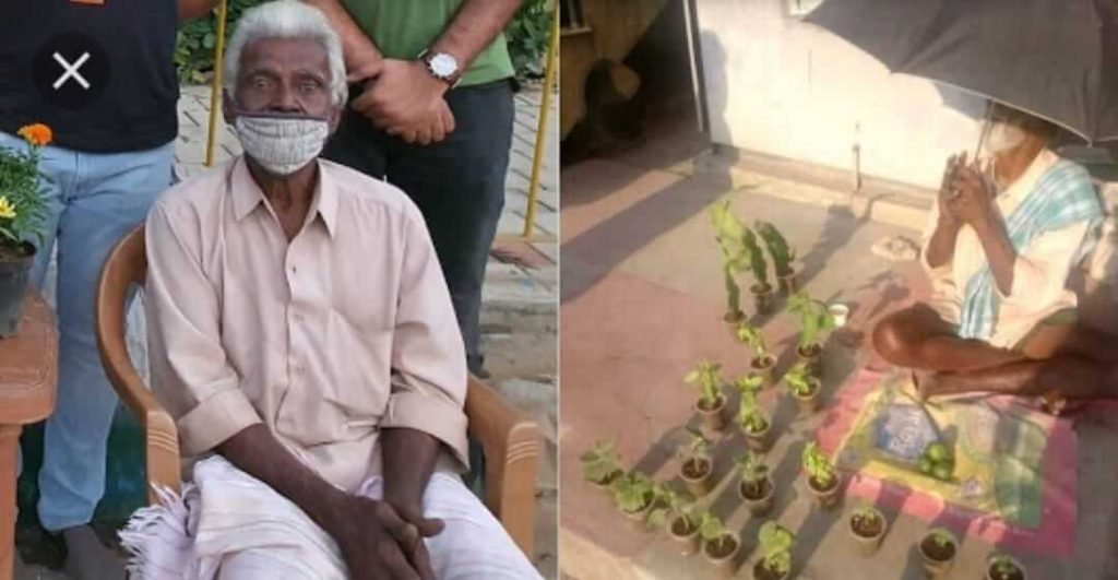 Old man selling saplings plants