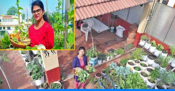 Pratima adig roof farming
