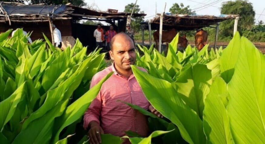 Abhishek Kumar ginger farming