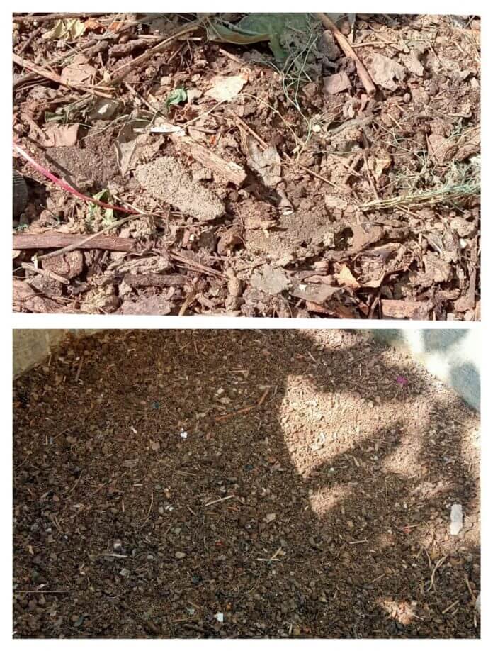 soil with fertilizer