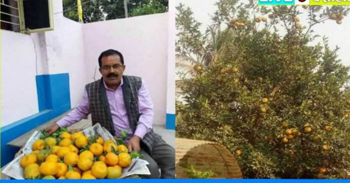 Satyendra pandey orange farming