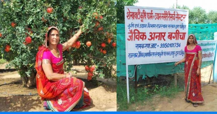 santosh devi fruits farming