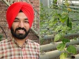  gurukirpal singh Hydroponics farming