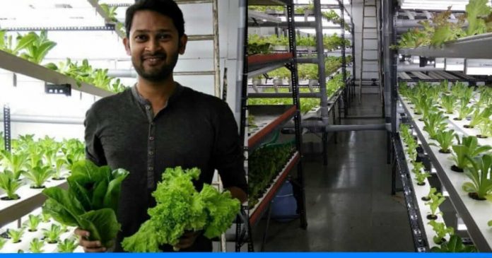 Ajay Naik hydroponics farming