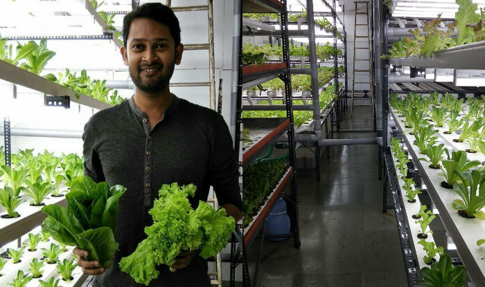 Ajay Naik hydroponics farming