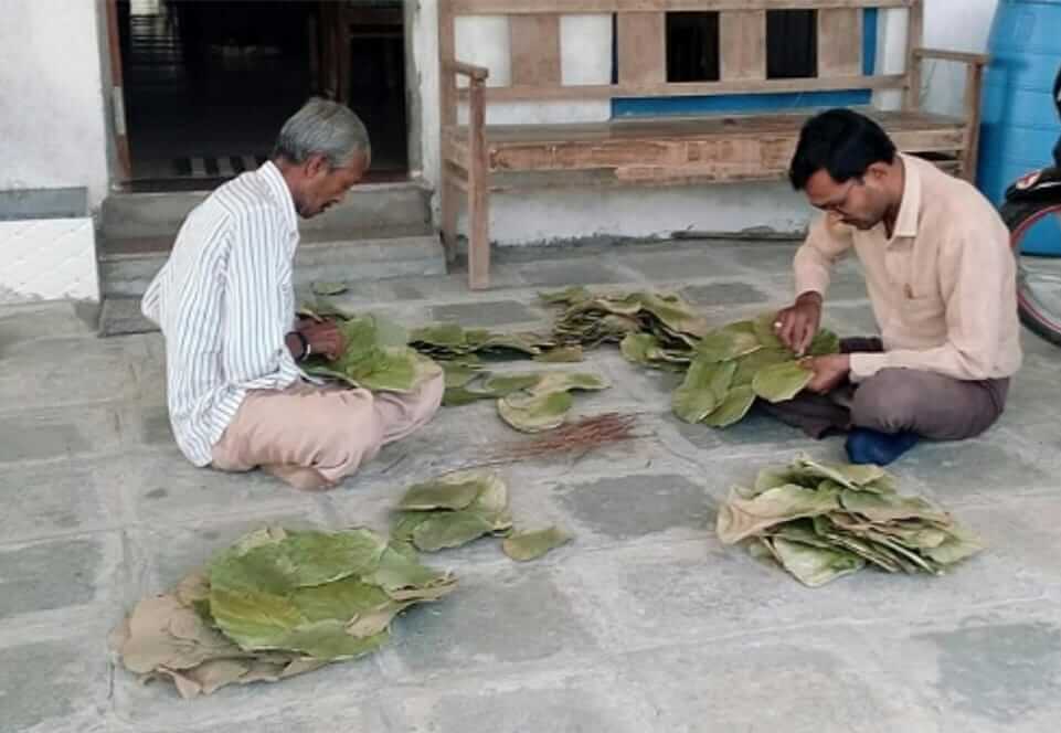 making leaf plates