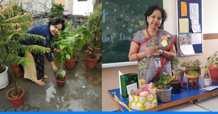 Sangeeta Shrivastwa home gardening