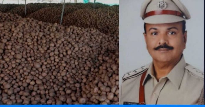 Jethabhai chaudhary potato business