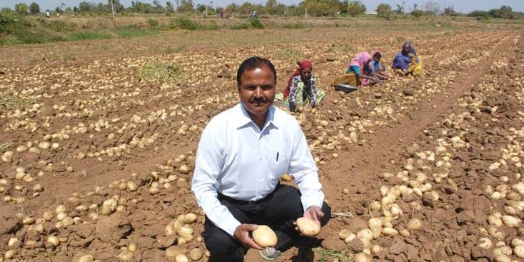 Jethabhai chaudhary potato field