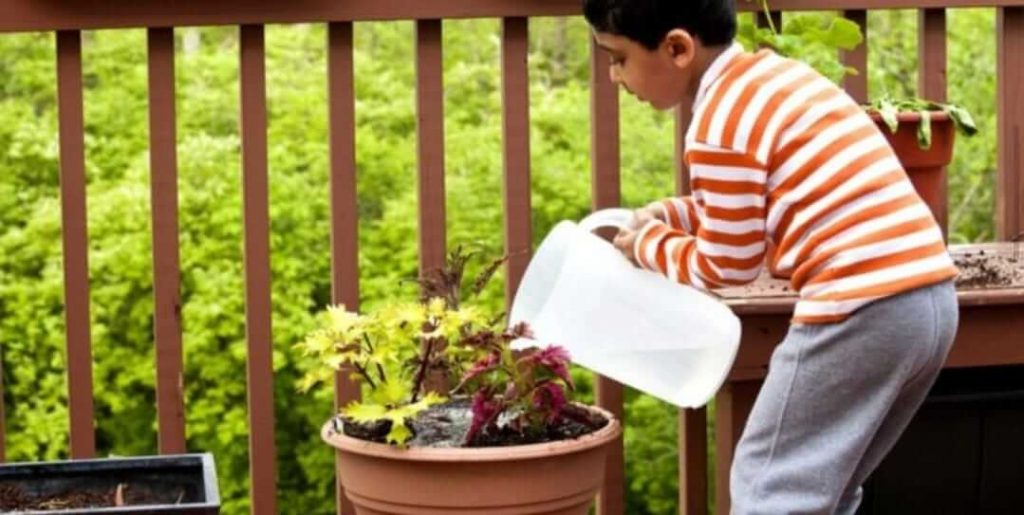 process of gardening