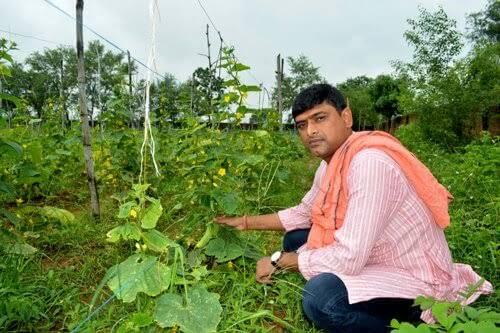 Rajeev bittu  farming