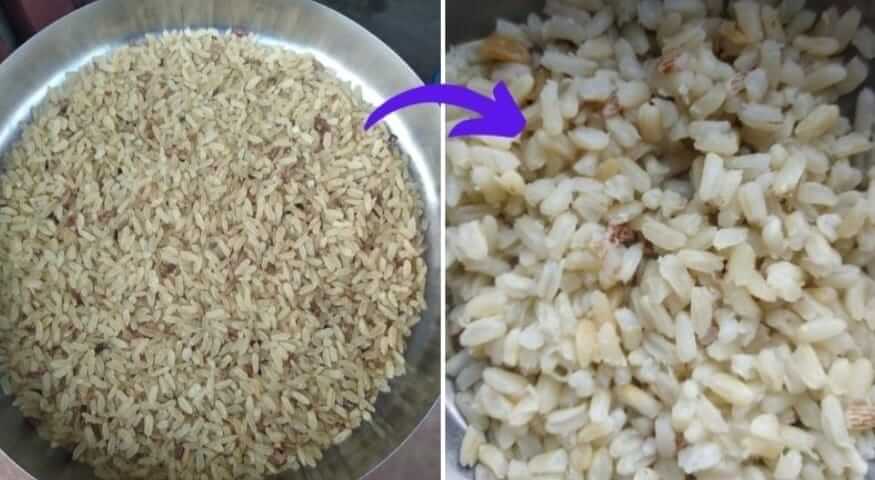 Vijay giri from bihar farming magic rice