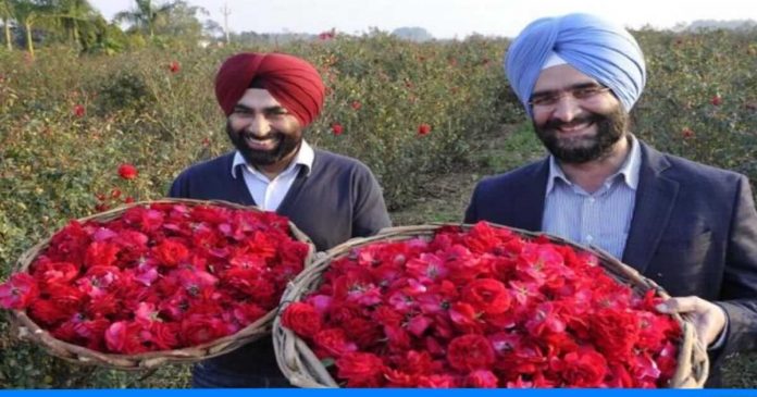 Rose farming by two friends