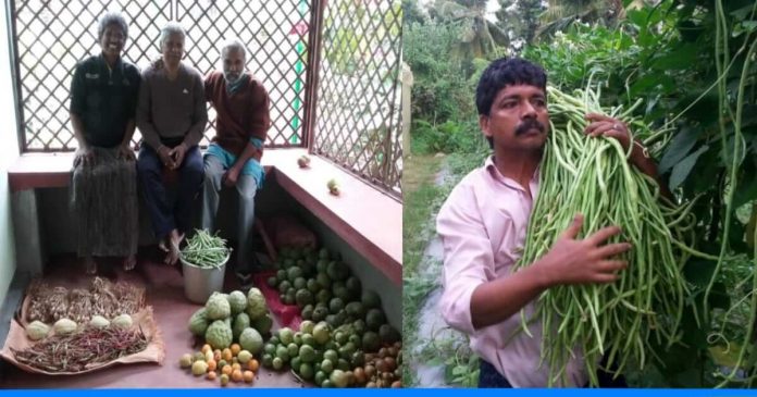 Kitchen garden tips BY Nasar