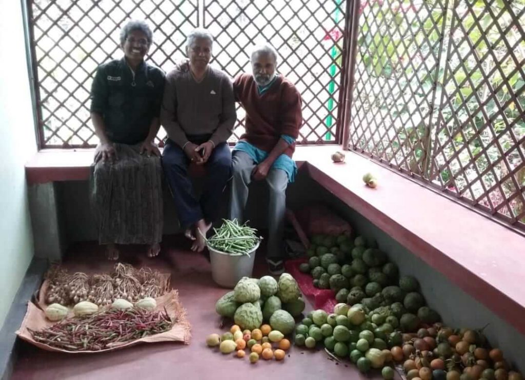 vegetable farming