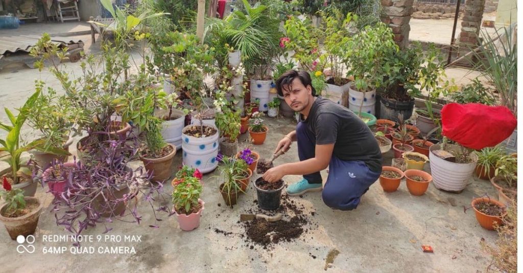 Amit Chaudhary Home gardening