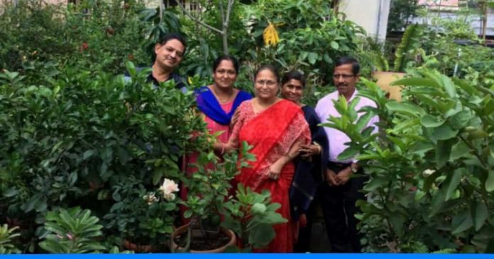 Terrace gardening by Shri Niwas