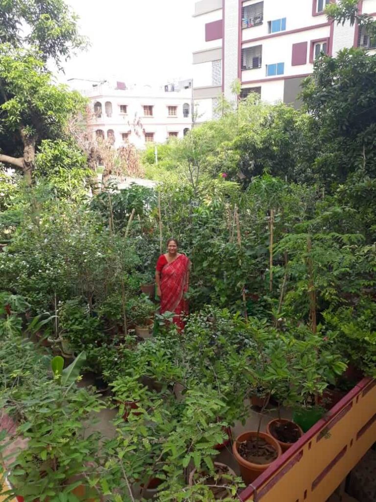 Terrace gardening by Shri Niwas 