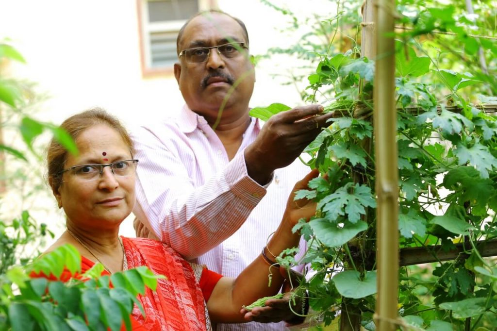 Terrace gardening by Shri Niwas 