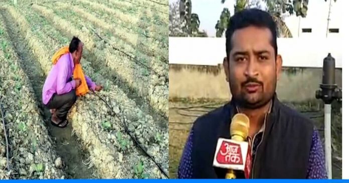 Three friends earns 10 lakh in farming