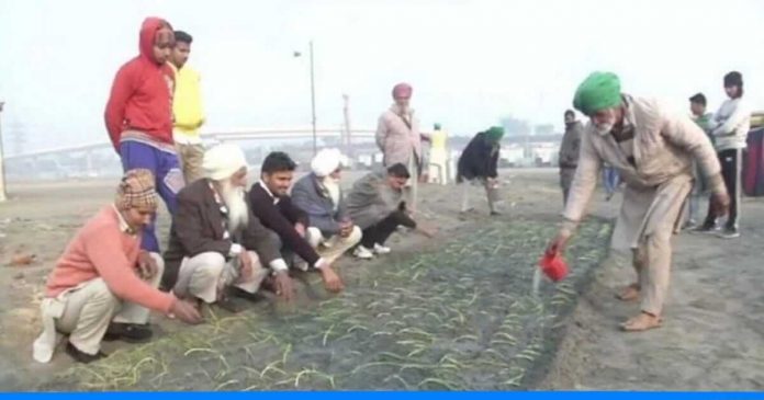 Farmers start farming at protest place