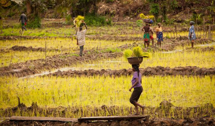 Fahehpur brothers farming appraised by prime minister