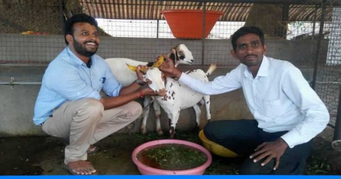 Dr. Abhishek Bharad Goat farming