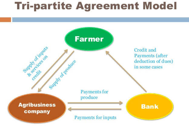 contract farming 