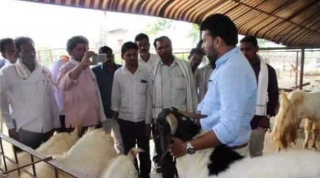 Dr. Abhishek Bharad Goat farming