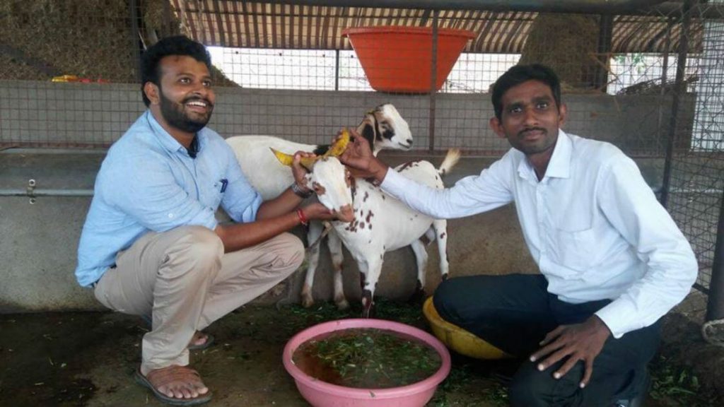 Dr. Abhishek Bharad Goat farming