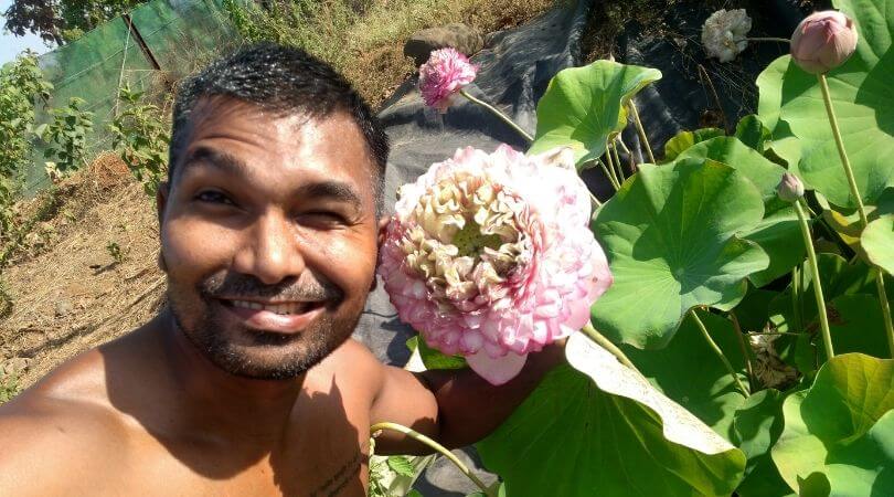 Water lily gardening