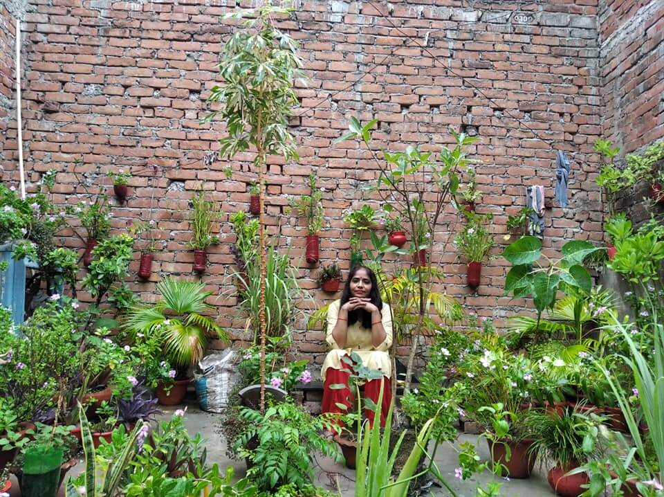 home gardening by Vidya Bharatiya