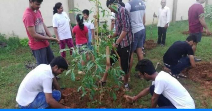 All is well foundation plants thousands trees