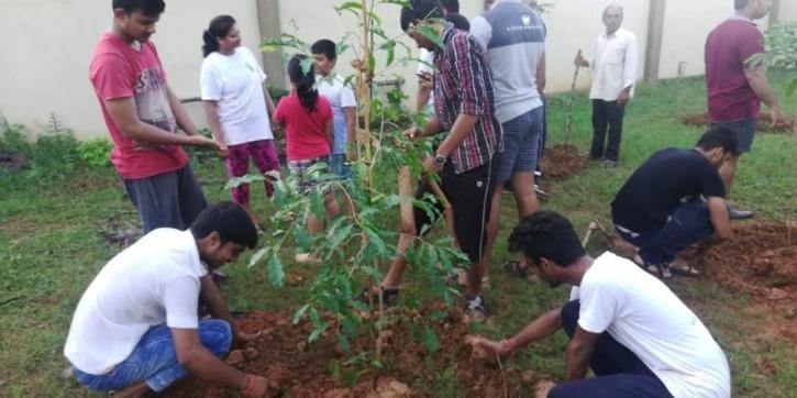 All is well foundation plants thousands trees