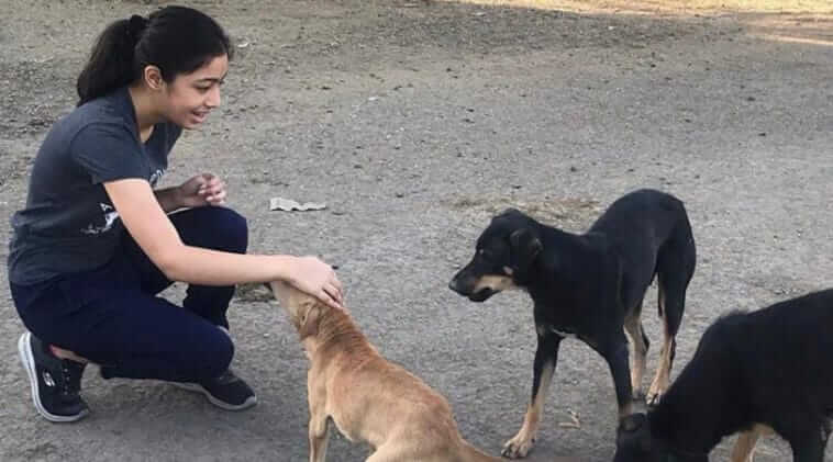 Chandani helps animals 