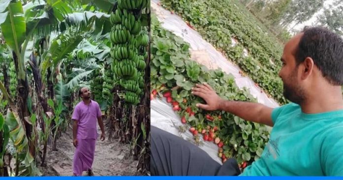 teacher earns crore by farming