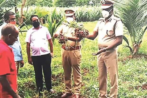 Prisoners of tiruchi central jail starts farming grows Onion in jail