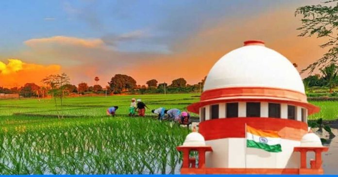 Supreme court intervenes in farmers bill