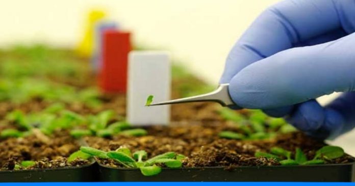 Nano technology farming