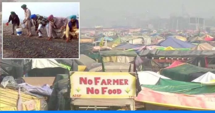 Farmer grow vegetable in Burari ground