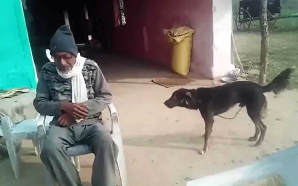 Man gives his property to dog