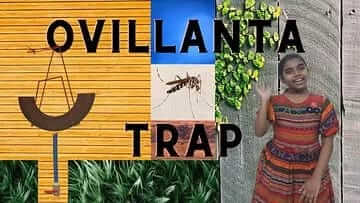 Indira invented machine to trap mosquitoes by using old tyres