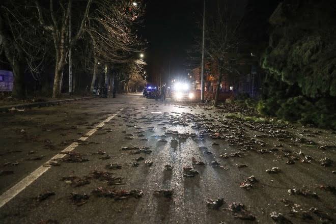 Rome street covered with death birds after new year fireworks