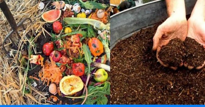 Jayprakash Mahato prepares organic fertilizer with vegetables waste