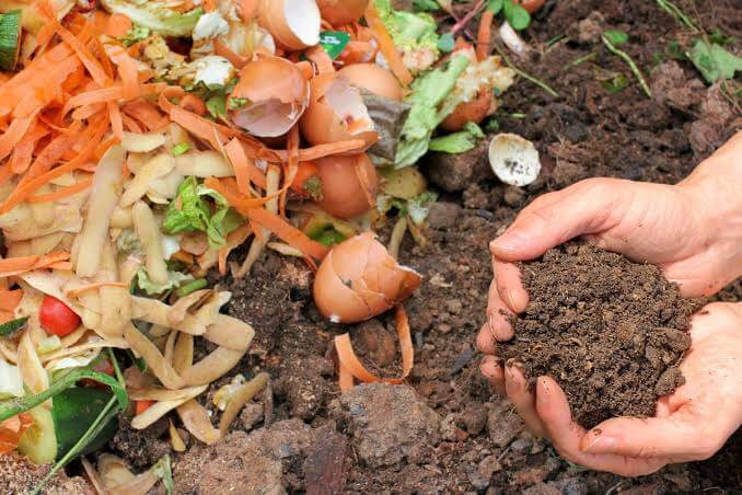 prepares organic fertilizer with vegetables waste