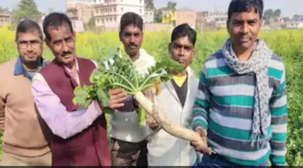  farmer prepares organic fertilizer