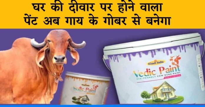 Vaidik paint launched by khadi india