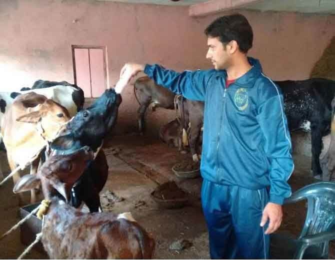 Hariom nautiyal left his job and started dairy farm