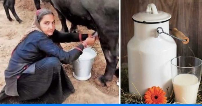 Navalben earns crore by selling milk